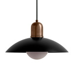 Arundel Orb Outdoor Pendant - Patina Brass / Black Shade
