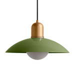Arundel Orb Outdoor Pendant - Brass / Reed Green Shade