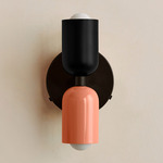 Up Down Wall Sconce - Blackened Brass Canopy / Black Upper Shade