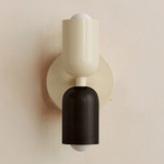 Up Down Wall Sconce - Bone Canopy / Bone Upper Shade