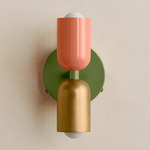 Up Down Wall Sconce - Reed Green Canopy / Peach Upper Shade