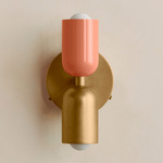 Up Down Wall Sconce - Brass Canopy / Peach Upper Shade