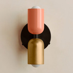 Up Down Wall Sconce - Blackened Brass Canopy / Peach Upper Shade