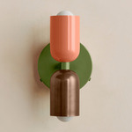 Up Down Wall Sconce - Reed Green Canopy / Peach Upper Shade
