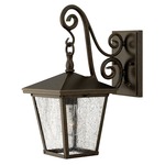 Trellis 120V Outdoor Hanging Scroll Wall Sconce - Regency Bronze / Clear Seedy