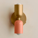 Up Down Wall Sconce - Brass Canopy / Brass Upper Shade