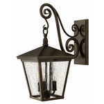 Trellis 120V Outdoor Hanging Scroll Wall Sconce - Regency Bronze / Clear Seedy