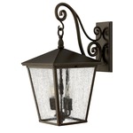 Trellis 120V Outdoor Hanging Scroll Wall Sconce - Regency Bronze / Clear Seedy