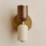 Up Down Wall Sconce - Brass Canopy / Patina Brass Upper Shade