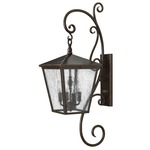 Trellis 120V Outdoor Large Wall Sconce - Regency Bronze / Clear Seedy