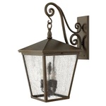 Trellis 120V Outdoor Hanging Scroll Wall Sconce - Regency Bronze / Clear Seedy