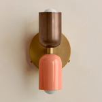 Up Down Wall Sconce - Brass Canopy / Patina Brass Upper Shade