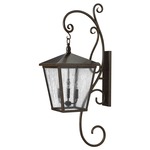 Trellis 120V Outdoor Large Wall Sconce - Regency Bronze / Clear Seedy