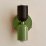 Up Down Wall Sconce - Reed Green Canopy / Blackened Brass Upper Shade