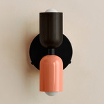 Up Down Wall Sconce - Black Canopy / Blackened Brass Upper Shade