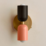 Up Down Wall Sconce - Brass Canopy / Blackened Brass Upper Shade