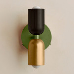 Up Down Wall Sconce - Reed Green Canopy / Blackened Brass Upper Shade