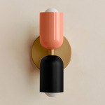 Up Down Slim Wall Sconce - Brass Canopy / Peach Upper Shade