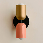 Up Down Slim Wall Sconce - Black Canopy / Brass Upper Shade