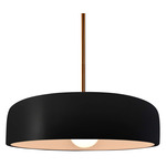 Radiance Spire Stem Hung Pendant - Brushed Brass / Carbon