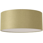 Stretch Ceiling Light - Satin Nickel / Avocado