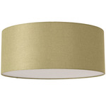 Stretch Ceiling Light - Weathered Brass / Avocado