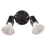 Echo Outdoor Ceiling Light - Black / Clear