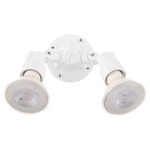 Echo Outdoor Ceiling Light - White / Clear