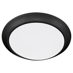 Wet LED Color-Select Disk Outdoor Ceiling Light - Matte Black / White
