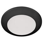 Wet LED Color-Select Disk Outdoor Ceiling Light - Matte Black / White
