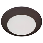 Wet LED Color-Select Disk Outdoor Ceiling Light - Oiled Bronze / White