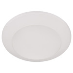 Wet LED Color-Select Disk Outdoor Ceiling Light - Studio White / White