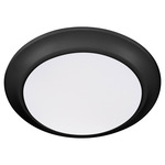 Wet LED Color-Select Disk Outdoor Ceiling Light - Matte Black / White