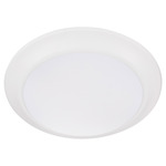 Wet LED Color-Select Disk Outdoor Ceiling Light - Studio White / White