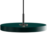 Asteria Pendant - Black / Forest