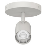 Pipe Color-Select Adjustable Spot Monopoint - White / Frosted