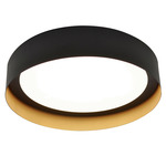 Reveal Color-Select Ceiling Light - Black / Gold / White