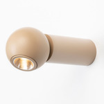 Compass Reading Wall Sconce - Beige