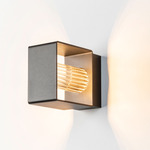 Frame Outdoor Wall Sconce - Anthracite / Transparent