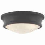 Ellis Ceiling Light - Black / Etched Opal