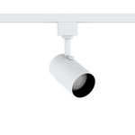 X 10 Outdoor 12V Track Luminaire - White