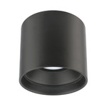 Downtown Round Color-Select Outdoor Ceiling Light - Black / Clear