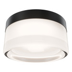 Balto II Color-Select Outdoor Wall / Ceiling Light - Black / Frosted