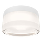 Balto II Color-Select Outdoor Wall / Ceiling Light - White / Frosted