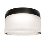 Balto III Color-Select Outdoor Wall / Ceiling Light - Black / Frosted