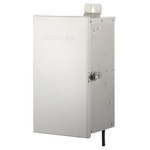 Pro-Contractor Series 12V Landscape Transformer - Stainless Steel