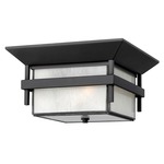 Harbor 120V Outdoor Ceiling Light Fixture - Satin Black / Etched White Seedy