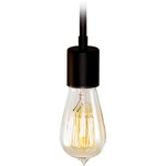 Retro Tube Edison Filament 60 Watt Light Bulb - Clear