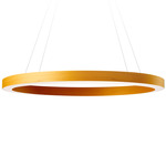 Oh! Line Pendant - Matte Black / Yellow