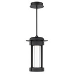 Gainey Indoor / Outdoor Color-Select Pendant - Black / Optic Crystal